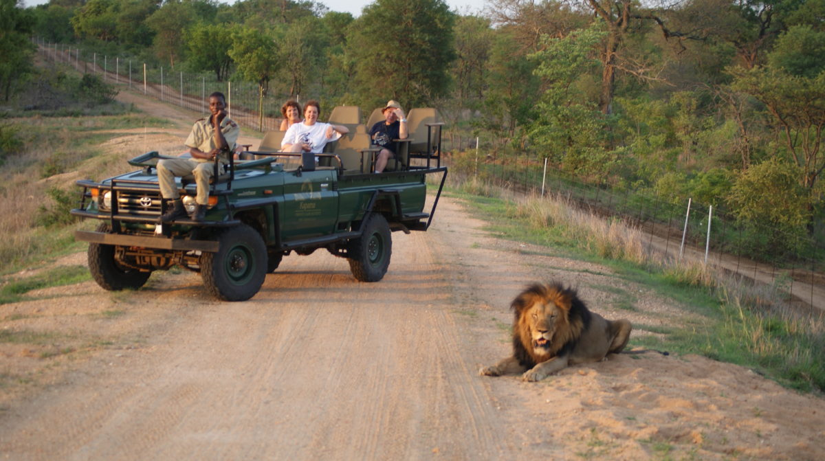 Kruger Park Safari